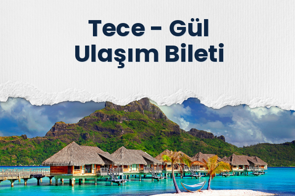 Tece → Gül Ulaşım Bileti