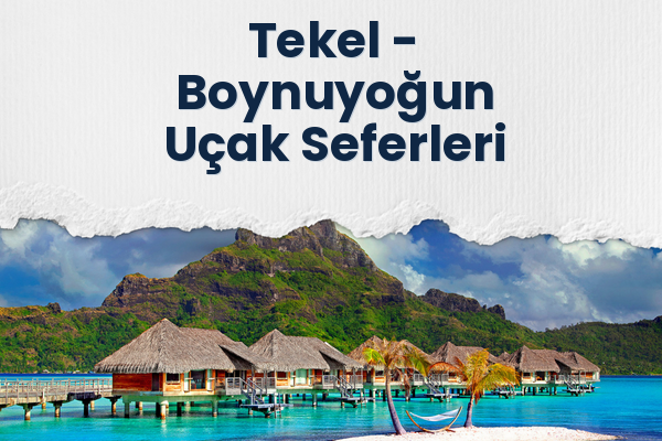 Tekel → Boynuyoğun Uçak Seferleri