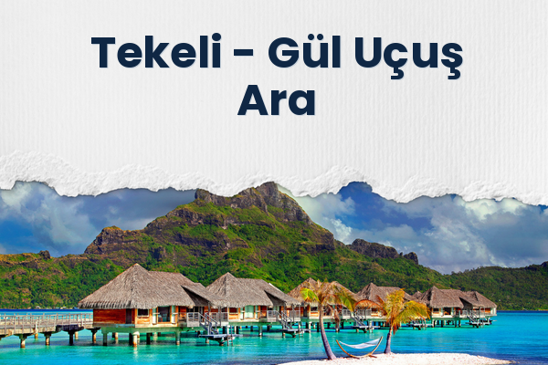 Tekeli → Gül Uçuş Ara