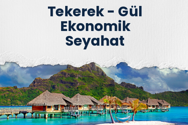 Tekerek → Gül Ekonomik Seyahat