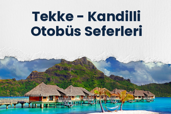 Tekke → Kandilli Otobüs Seferleri