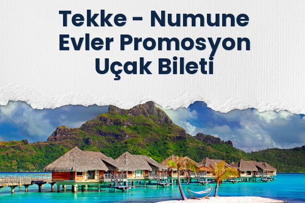 Tekke → Numune Evler Promosyon Uçak Bileti