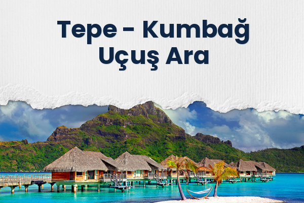Tepe → Kumbağ Uçuş Ara