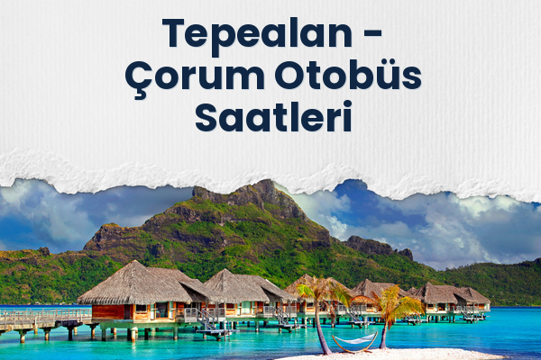 Tepealan → Çorum Otobüs Saatleri