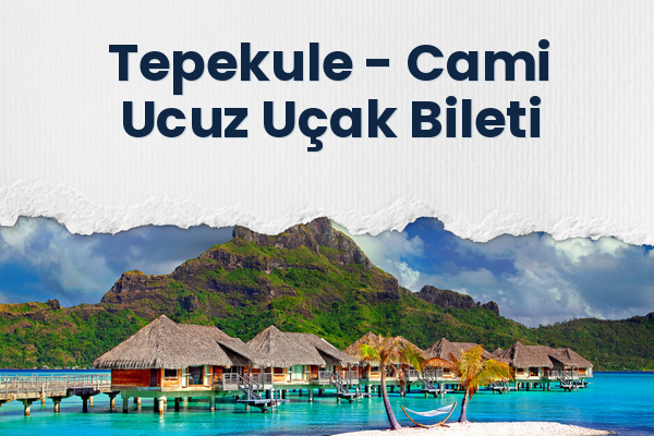 Tepekule → Cami Ucuz Uçak Bileti
