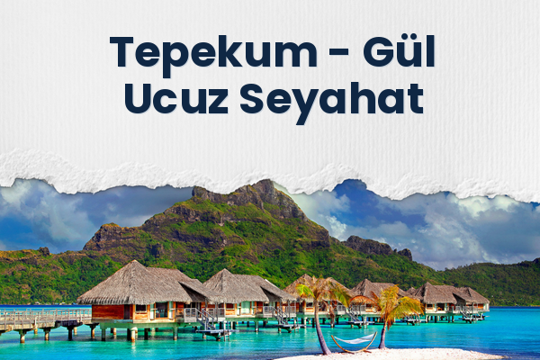 Tepekum → Gül Ucuz Seyahat