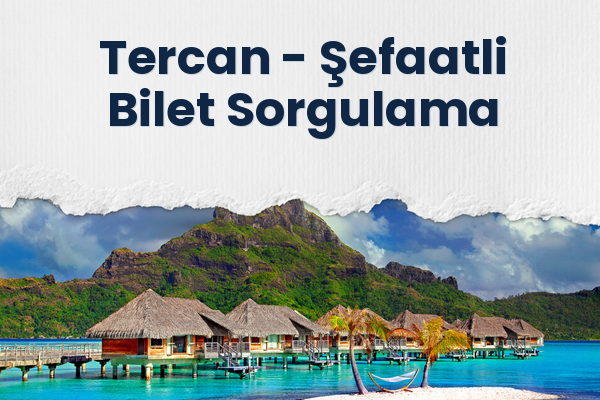 Tercan → Şefaatli Bilet Sorgulama