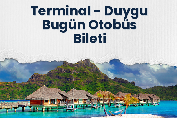 Terminal → Duygu Bugün Otobüs Bileti