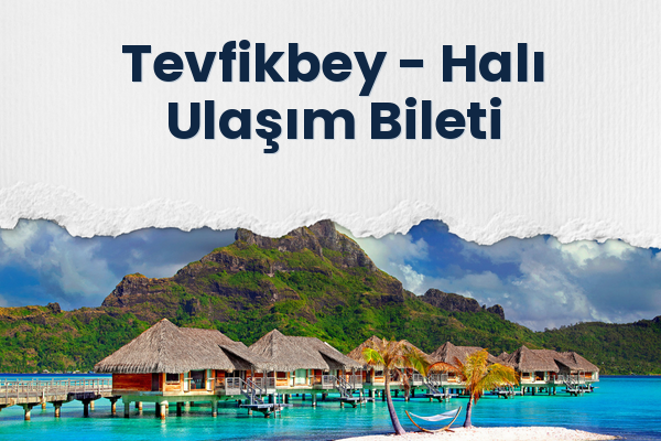 Tevfikbey → Halı Ulaşım Bileti
