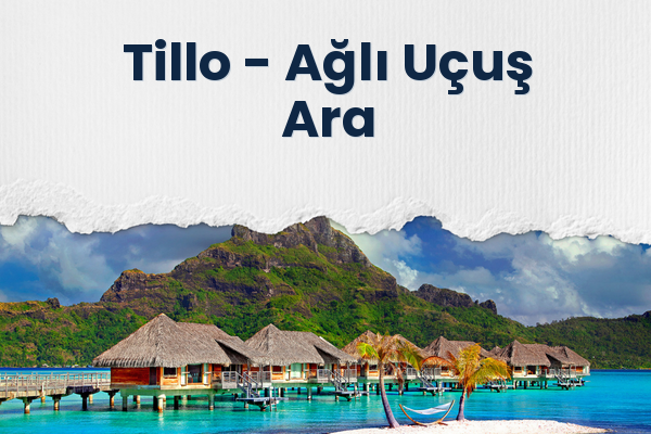 Tillo → Ağlı Uçuş Ara