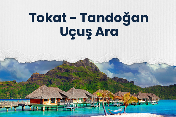 Tokat → Tandoğan Uçuş Ara