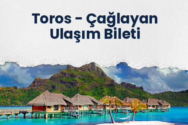 Toros → Çağlayan Ulaşım Bileti