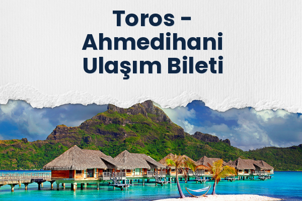 Toros → Ahmedihani Ulaşım Bileti