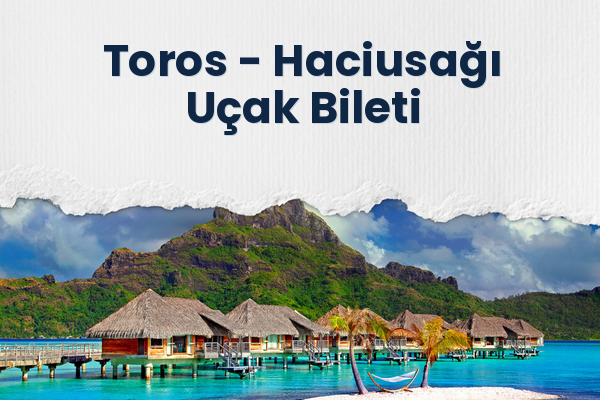 Toros → Haciusağı Uçak Bileti