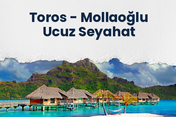 Toros → Mollaoğlu Ucuz Seyahat