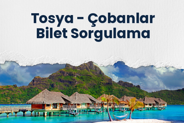 Tosya → Çobanlar Bilet Sorgulama