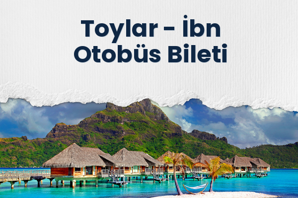 Toylar → İbn Otobüs Bileti