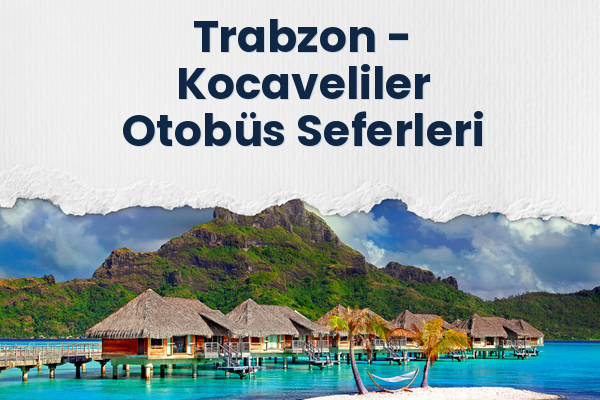 Trabzon → Kocaveliler Otobüs Seferleri