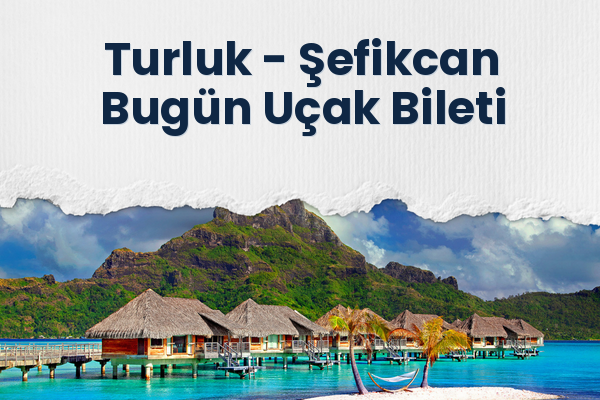 Turluk → Şefikcan Bugün Uçak Bileti