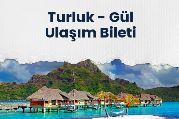 Turluk → Gül Ulaşım Bileti