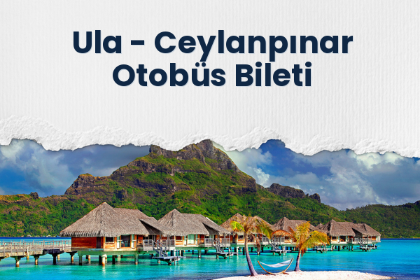Ula → Ceylanpınar Otobüs Bileti