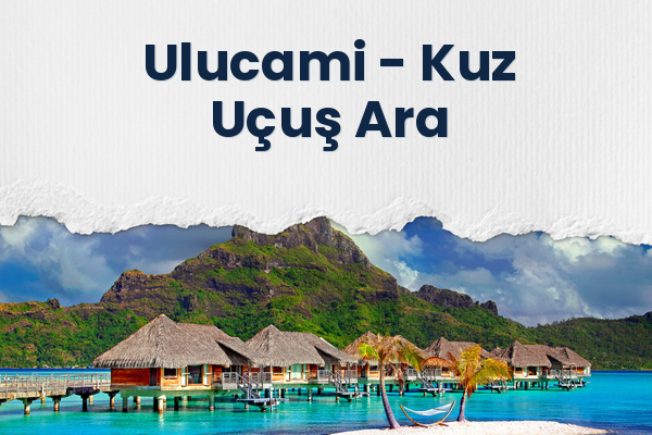 Ulucami → Kuz Uçuş Ara