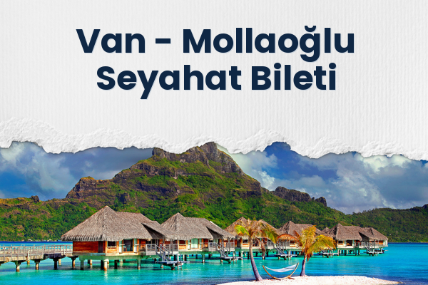 Van → Mollaoğlu Seyahat Bileti