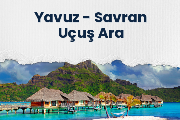 Yavuz → Savran Uçuş Ara