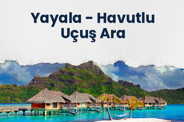 Yayala → Havutlu Uçuş Ara