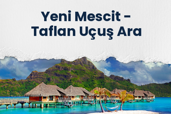 Yeni Mescit → Taflan Uçuş Ara