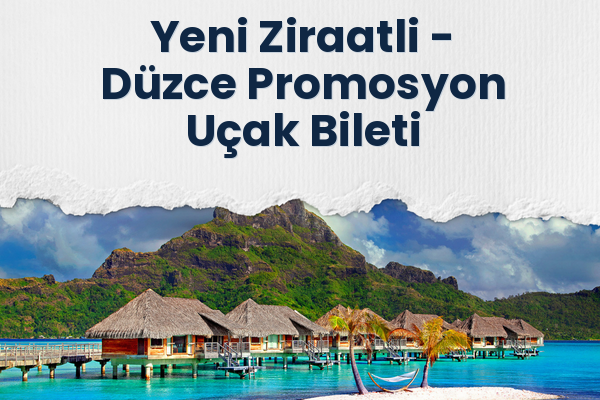 Yeni Ziraatli → Düzce Promosyon Uçak Bileti