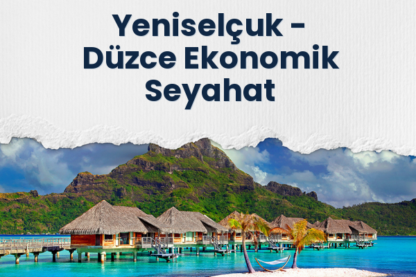 Yeniselçuk → Düzce Ekonomik Seyahat