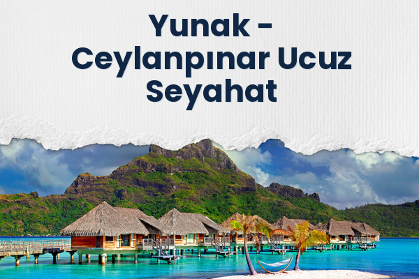 Yunak → Ceylanpınar Ucuz Seyahat