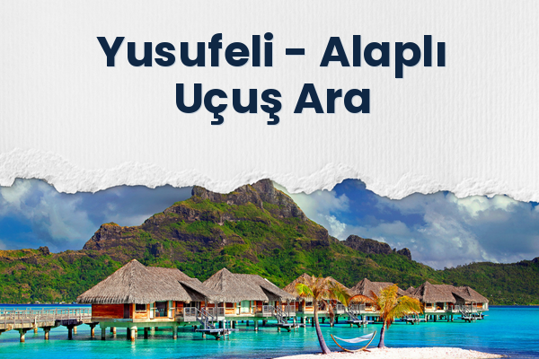 Yusufeli → Alaplı Uçuş Ara