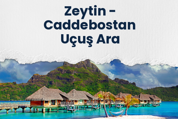Zeytin → Caddebostan Uçuş Ara