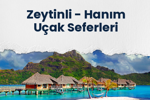 Zeytinli → Hanım Uçak Seferleri